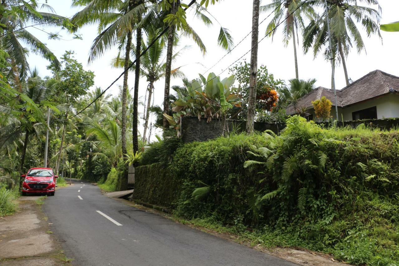 The Alise Villa Tegallalang  Exterior photo